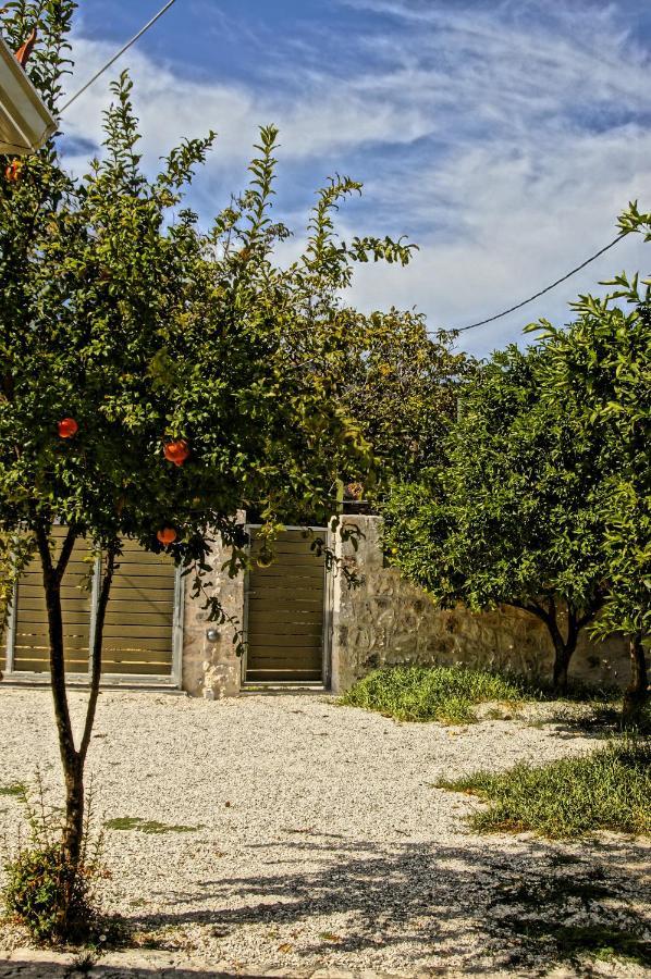 Unity Villa Andipáta Exteriör bild